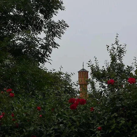 Villa Junuzovic